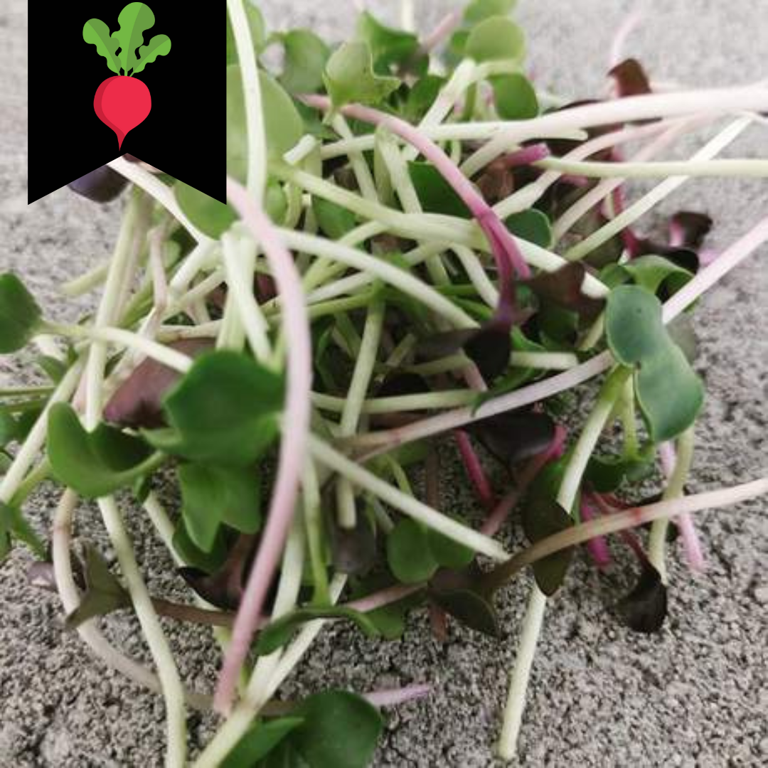 Radish mix
