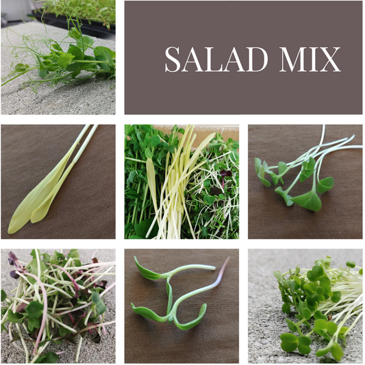 Salad Mix