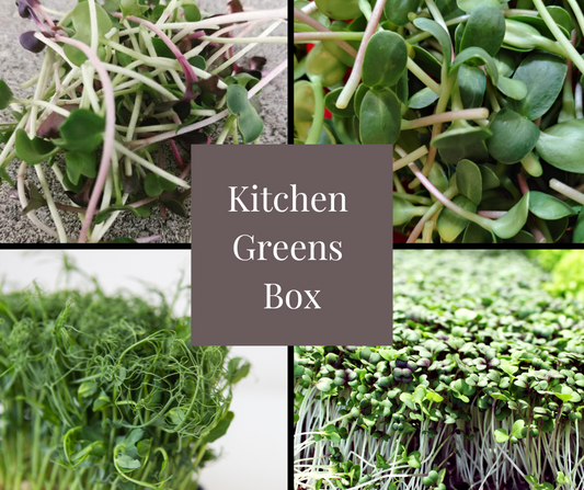 Kitchen Greens Box