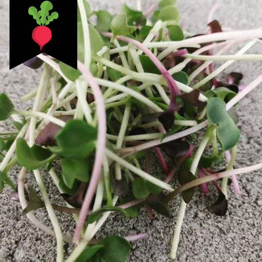 Radish mix